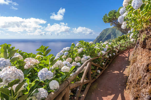 Flowers line a wooden-fenced path along a cliffside overlooking the ocean. The sunny day features a few clouds in a blue sky, with lush green foliage.